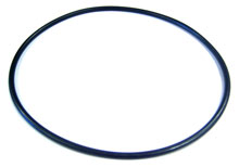 Aladdin Sta-Rite Dyna-Glas Seal Plate U9-373 O-ring O-469