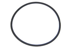 Pentair Body O-ring Clean & Clear Predator Filter 87300400