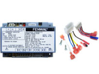 Pentair MiniMax NT LN STD Ignition Control Module 460783