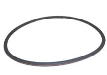 Pentair Purex SMBW 2000 Filter Lid O-Ring Red Line 071442