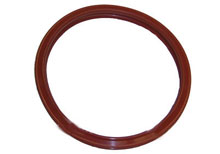 Pool Light JandyColors Silicone Gasket Large R0399800