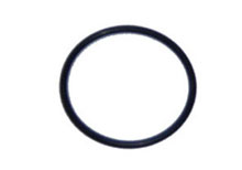 Waterway O-Ring 1.5 in. Union 805-0226