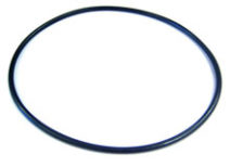 WhisperFlo Pump Pentair Seal Plate O-Ring 071445